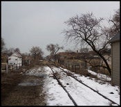 Image of Bloomingdale Trail in Winter