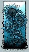 Image of Blue "Bloom" Sunflower Poster (ROLLED)