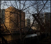 Image of The End of Winter
