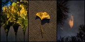 Image of Change