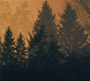 Image of CD: Above the Earth, Below the Sky _ 2009