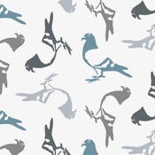 Image of pigeon wallpaper