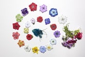 Image of Kamille's Handmade Flower Clips