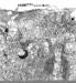 Image of DD/MM/YYYY - Black Square