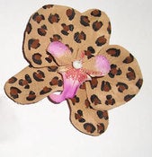 Image of Leopard Orchid hair flower