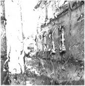 Image of "Rainy Branksome" Giclee Print