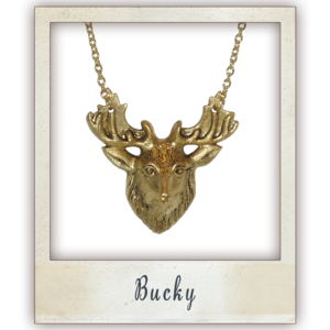 Image of Bucky