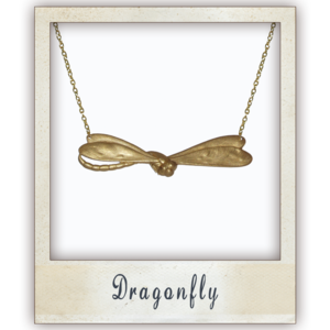 Image of Dragonfly