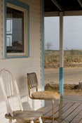 Image of Plum, 2009, 13 x 19" Print