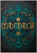 Image of DEAD MEADOW - Torino 2010