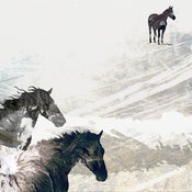 Image of Horses (11"x14") Edition of 50