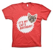 Image of It's My Cat's Birthday