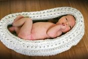 Image of The Nest Cocoon