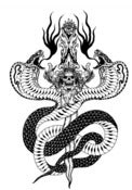 Image of two headed cobra