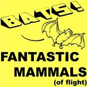 Image of Shirt - BATS!