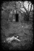 Image of Stella #1