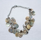 Image of Tiara Shells - Natural / Earth Tone