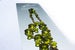 Image of Tiara Jewels - Emerald