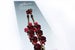 Image of Tiara Jewels - Ruby Red