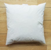 Image of 40cm duck feather cushion pad for 38cm cushion