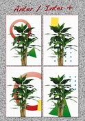 Image of Anter / Inter + 4 posters