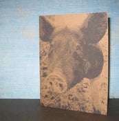 Image of Barnyard Animals - Set of 3 note cards