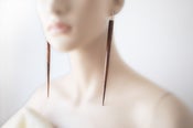 Image of earcicle