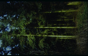 Image of Among The Bones/ Pink Priest split cassette