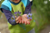 Image of [salutare la primavera]