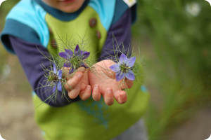 Image of [salutare la primavera]
