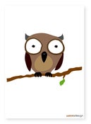 Image of Owl