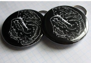 Image of super smart anatomical brain bottle opener