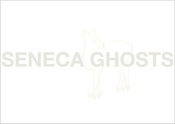 Image of Bookshop_#10039_Seneca Ghosts by Danielle Mericle  