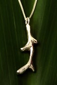 Image of Coral Necklace 3D
