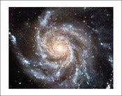 Image of One Trillion Stars 