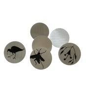 Image of classic earrings - small studs