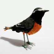 Image of REDSTART