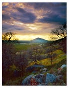 Image of Print of the Month 30x40