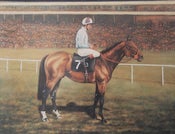 Image of Equestrian