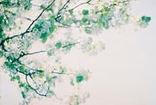 Image of a quiet afternoon