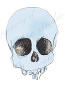 Image of skull