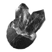 Image of George Quartz - Coconut Single (with Video by Georgie)