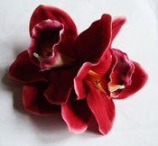 Image of Double orchid hair flower