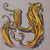 Image of "Y" 2010