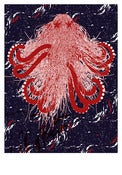 Image of Octopus