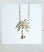 Image of Extraperlo Palm