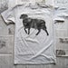 Image of Wolf In Sheep's Clothing (silver)
