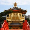 Image of Ginger-Wasabi Body Detox
