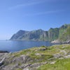 Image of Norwegian Seaweed Cocoon