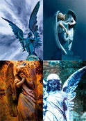 Image of Pack of 4 angel cards, mixed (blank inside)